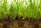Cecil Plainssub-soil-drainage-6.jpg; ?>